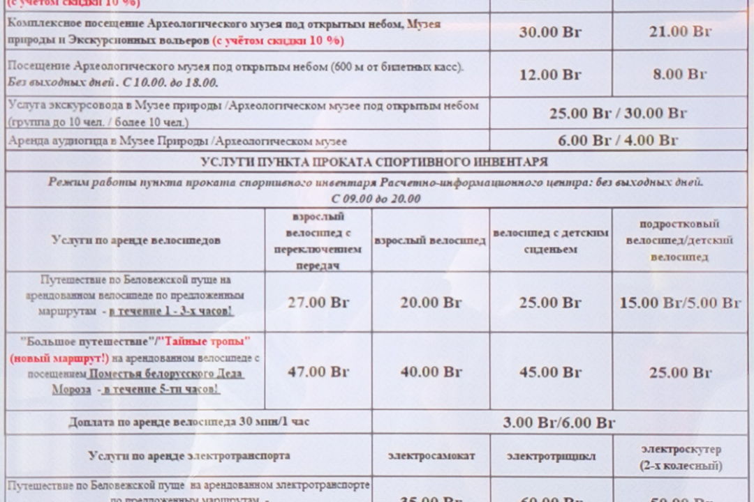 Персональный трансфер - путешествие в Беловежскую пущу и Каменецкую башню — фото 7