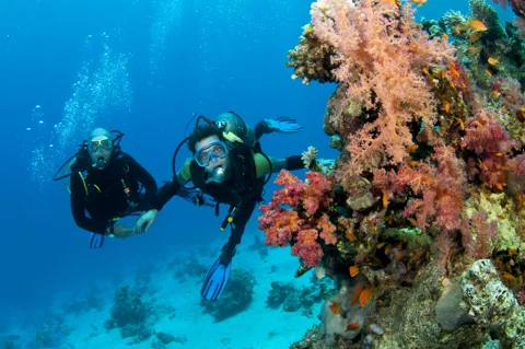 Дайвинг с Andaman Diving&Travel Company. Экспедиция под водой