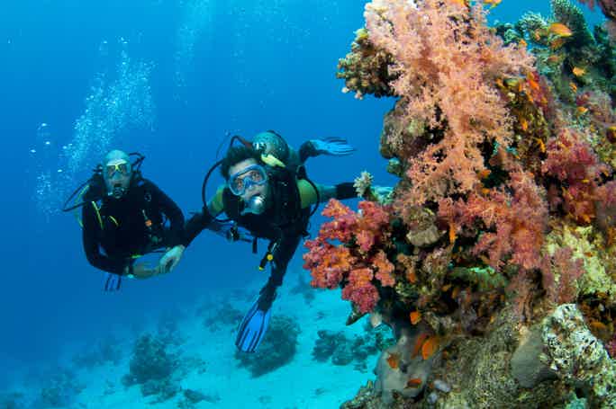Дыши со мной: дайвинг с Andaman Diving&Travel Company