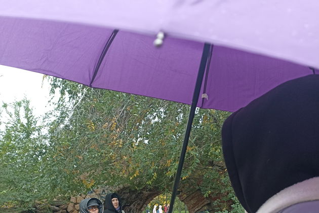 Мобильная квест-экскурсия «Погоня за лекарством от вируса»