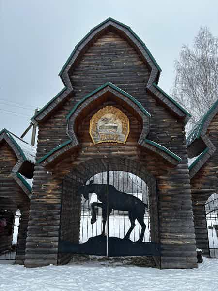 Из Костромы на лосиную ферму на автомобиле - фото 5