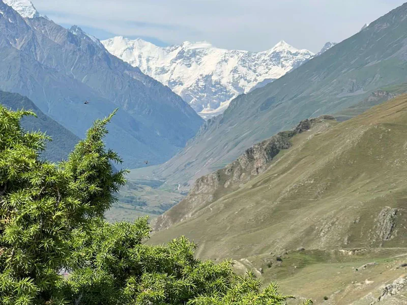 Едем в «Кавказскую Швейцарию» — вас ждёт Домбай! — фото 6, Кисловодск | Покатаем