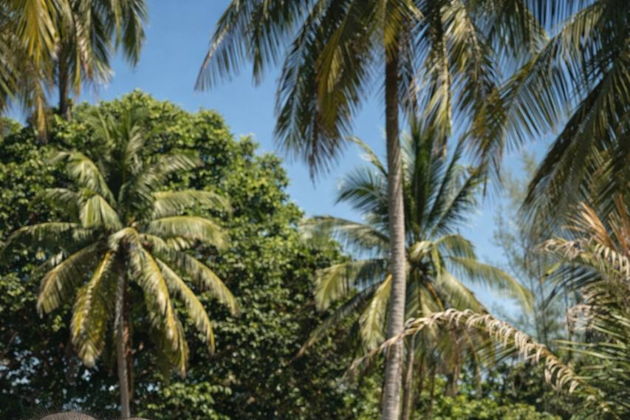 От пляжа слонов до Mantra Spa: День незабываемых впечатлений