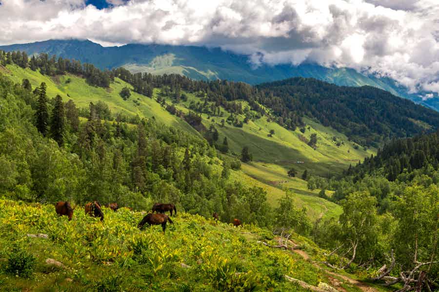 Прогулка на лошадях по Архызу: вдоль реки и в горы - фото 6