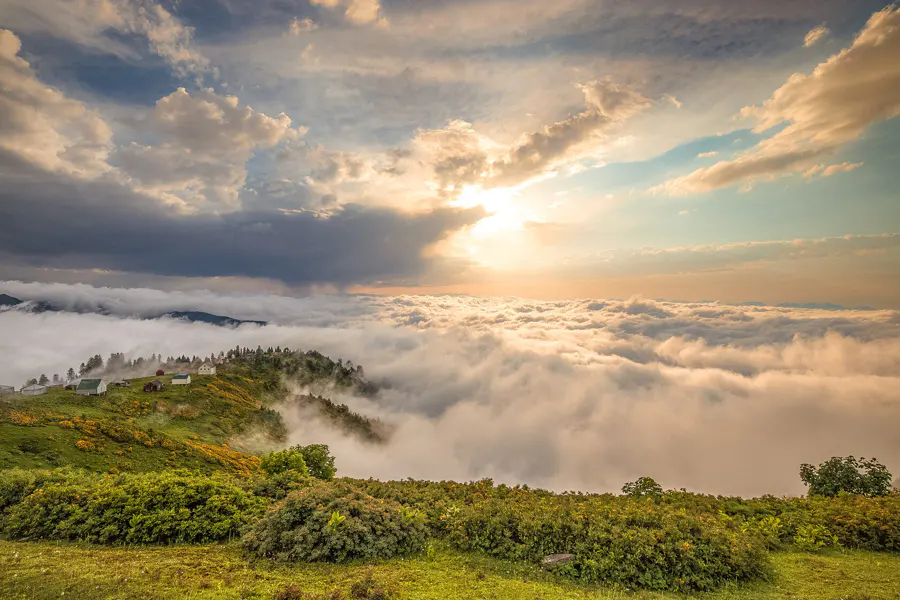 Однодневный тур в Гомисмта — горы, туман и душевный отдых — фото 1