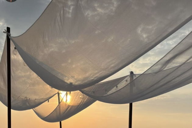 Виды Дизайнерские пикники