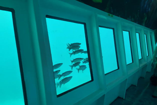 Из Мармариса: однодневная поездка на полуподводной лодке