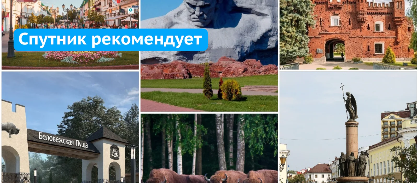 Трансфер в Брест через беловежскую пущу и обратно. Эксклюзивный тур — экскурсия, Гродно, Беларусь | Покатаем