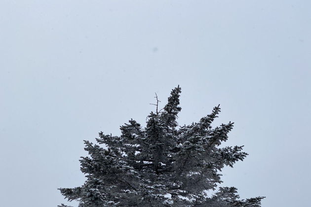 Виды Восхождение на г. Литовка (Фалаза)