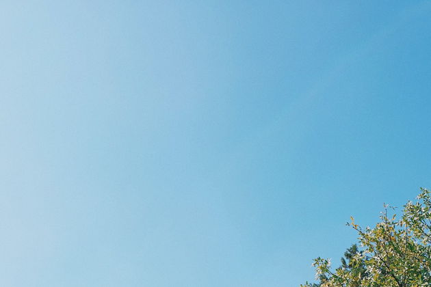 Виды Тайны ущелья Дзама