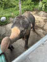 Экскурсия "Достопримечательности Пхукета с русским гидом" - фото отзыва 2