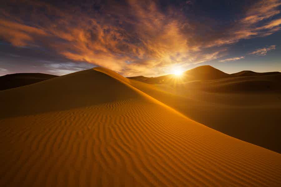 Пустынное сафари из Фуджейры  - фото 1