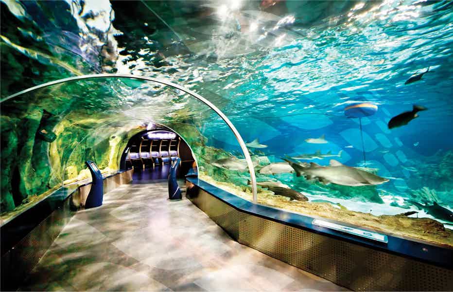 Istanbul Aquarium Florya with Transfer - photo 1