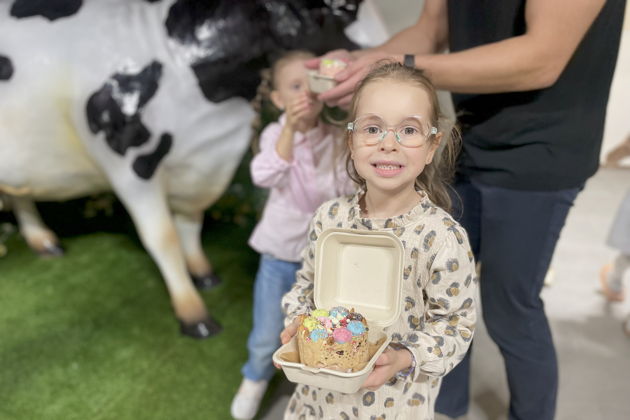 Фото к экскурсии Мастер-класс «Бенто-торт из мороженого с сюрпризом»