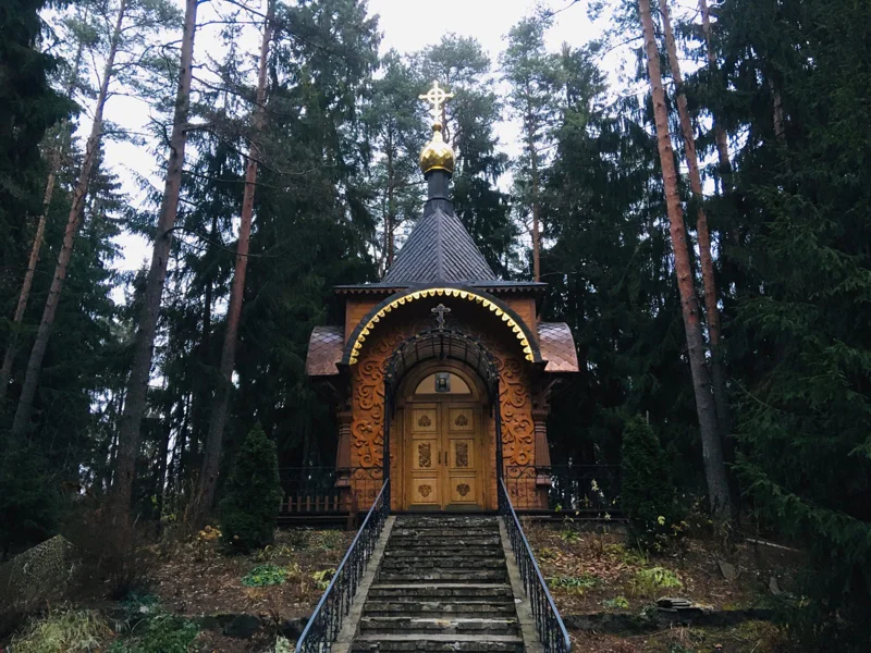 «Обитель богов и шкатулка Пандоры» в прогулке по Репино — фото 2, Санкт-Петербург | Покатаем