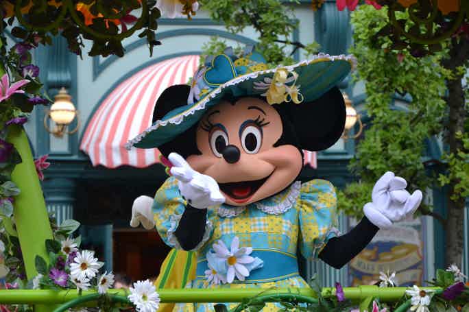 1-Day, 1-Park with Private Hotel Transfers: Disneyland® Paris