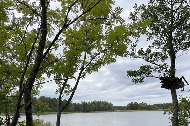 Виды Рыбалка на катере в Выборгском заливе: кордон Кузьмича и окрестности