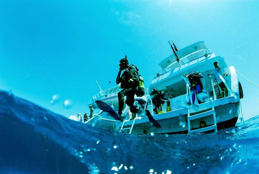 Дайвинг в Красном море: путешествие в подводный мир  - фото 3