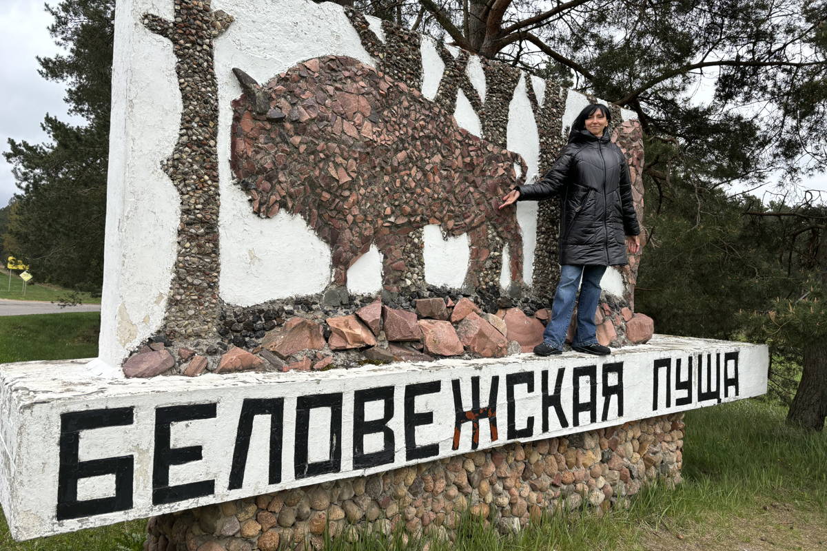 Брест-Беловежская пуща-Брест