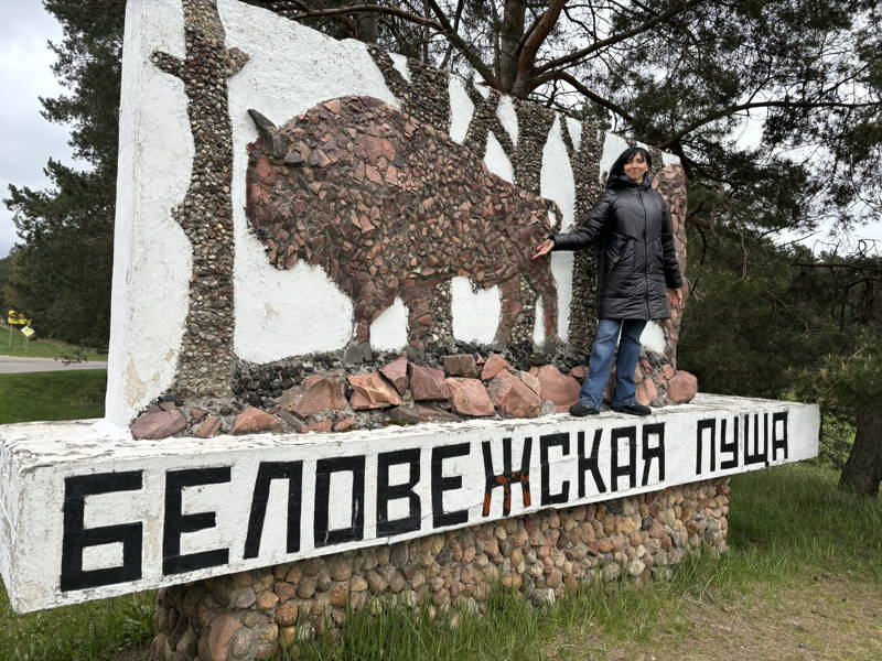 Брест-Беловежская пуща-Брест