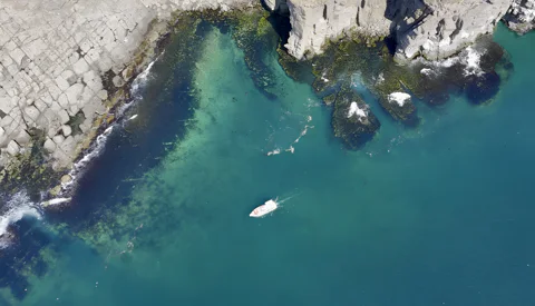 Морское путешествие к островам Японского моря и котикам