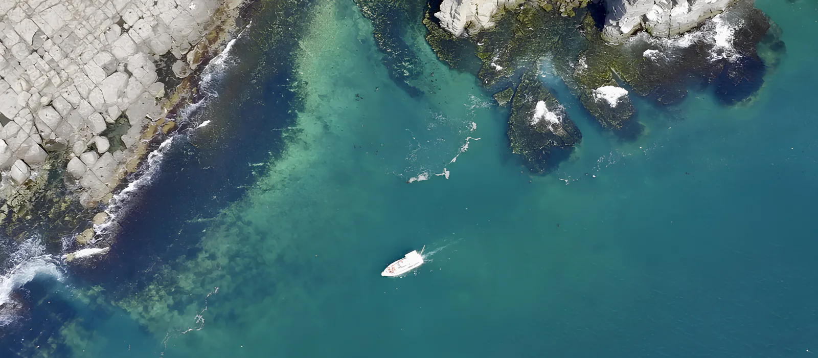 Морское путешествие к островам Японского моря и котикам — экскурсия, Владивосток, Россия | Покатаем
