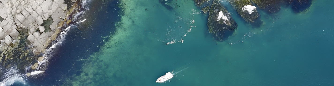 Морское путешествие к островам Японского моря и котикам