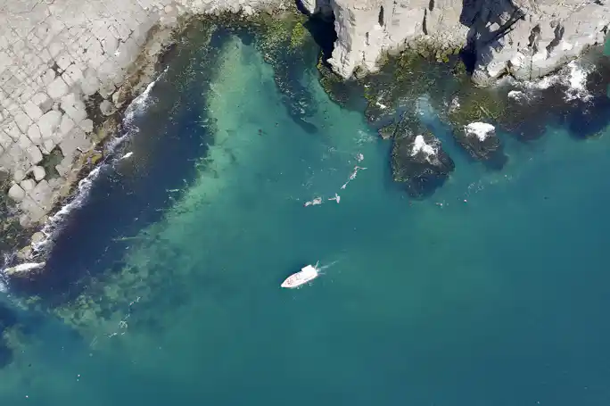 Морское путешествие к островам Японского моря и котикам