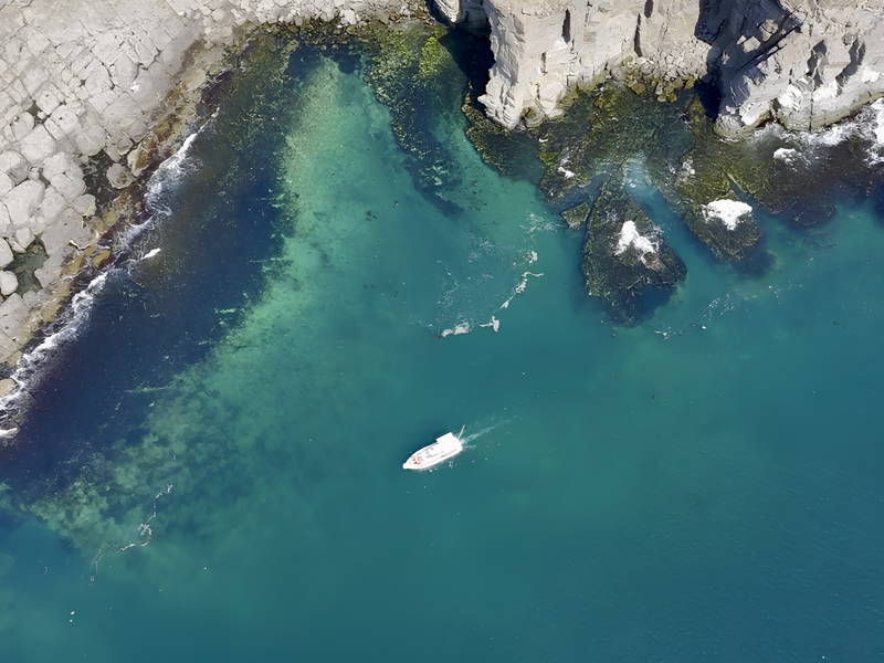 Морское путешествие к островам Японского моря и котикам