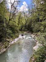 Экскурсия "Конный тур каньон Псахо" - фото отзыва 2