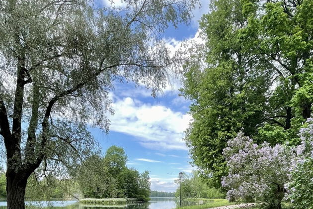 Виды Гатчинский дворец в мини-группе