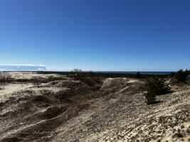 Экскурсия "Знакомство с Куршской косой — тур из Зеленоградска" - фото отзыва 4