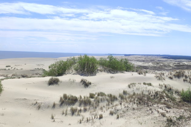 Виды Куршская коса — жемчужина Балтики