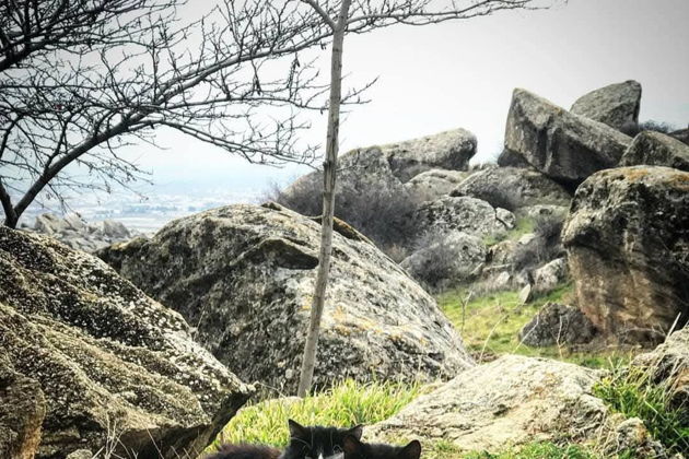 Виды Наскальные рисунки Гобустана, мечеть Биби Хейбат и Грязевые вулканы  