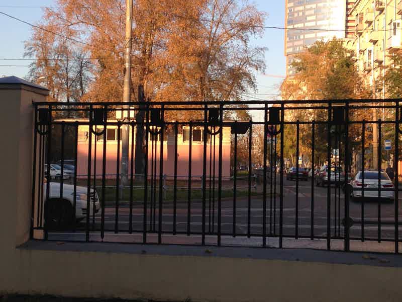 Экскурсия по Боткинской больнице в Петербурге - фото 1