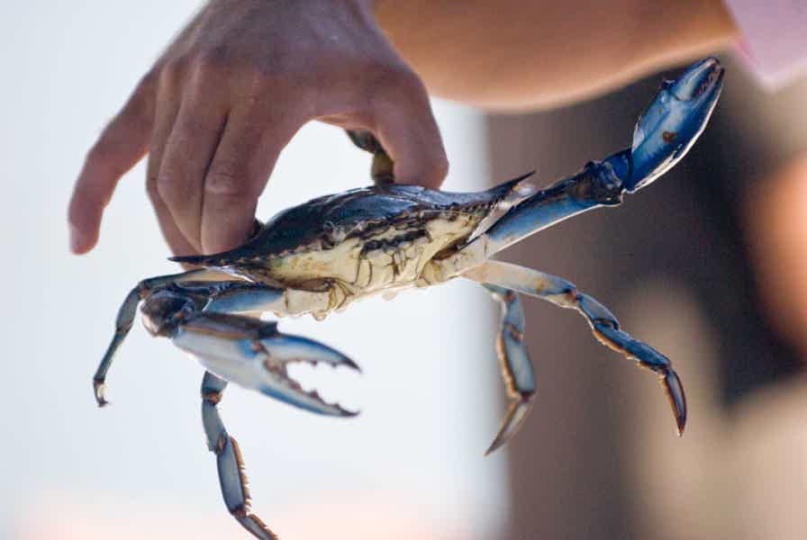 Дальян и Долина крабов: однодневная экскурсия из Мармариса - фото 4