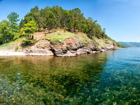 Большие Коты