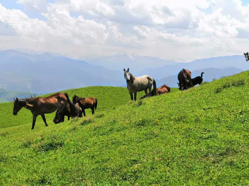 Трекинг-поход на Гунибское плато и гору Маяк в Дагестане - фото 6