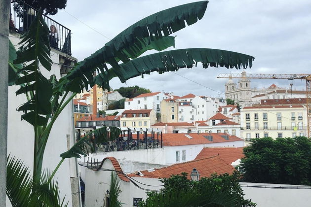 Виды Давай знакомиться, Лиссабон