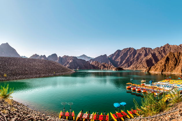 Виды Сафари по пустыне Хатта и сад медоносных пчёл