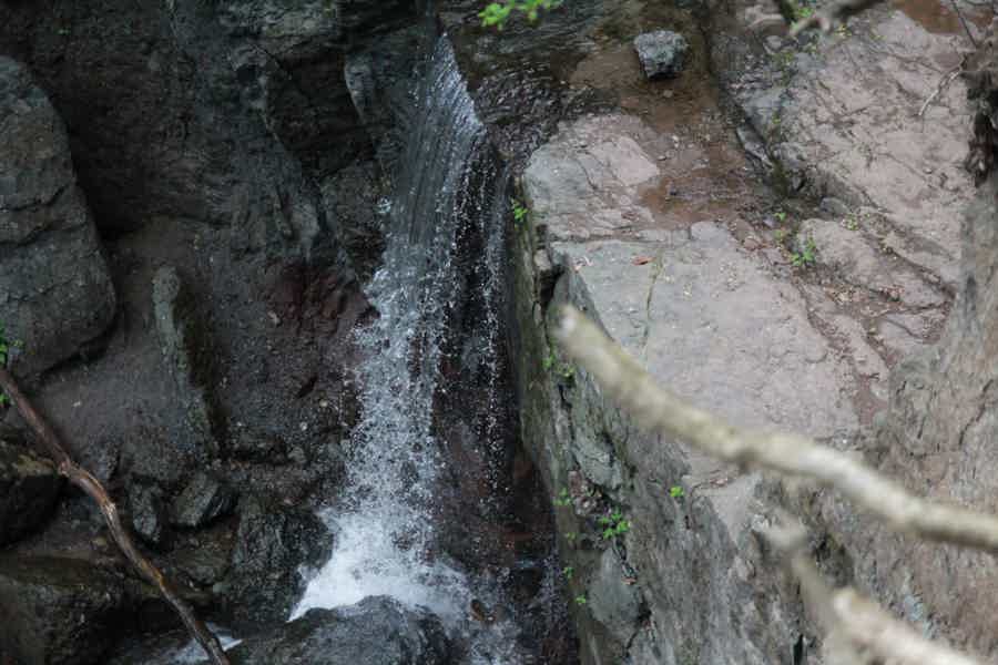 Кравцовские водопады и заповедник  "Земля леопарда" - фото 2