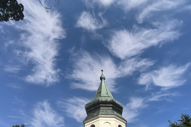 Квест-экскурсия «Рыцари, монахи и торговцы города W» — фото 2