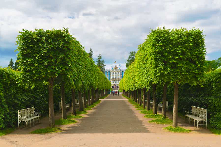  Большая экскурсия в Пушкин — два дворца: Екатерининский и Александровский  - фото 3