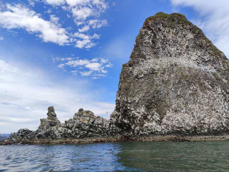 Морская прогулка к острову Старичков: морская рыбалка и крабовое сафари - фото 6