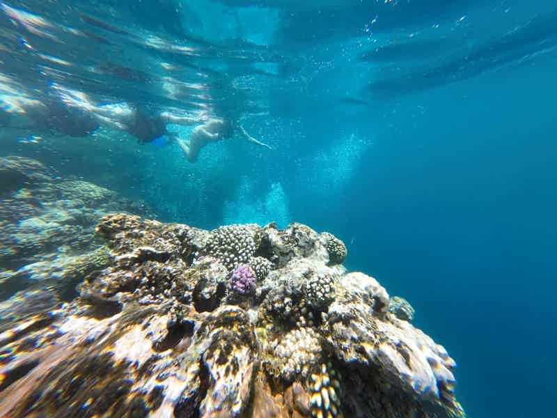 Батискаф — рыбки и кораллы прямо перед вами - фото 3
