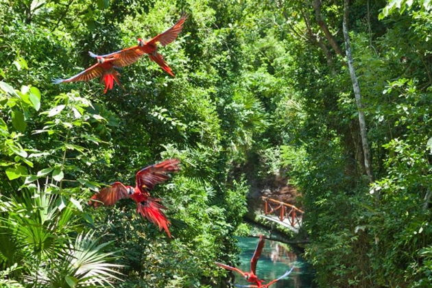 Индивидуальная экскурсия на автомобиле в Канкун - 8 часов