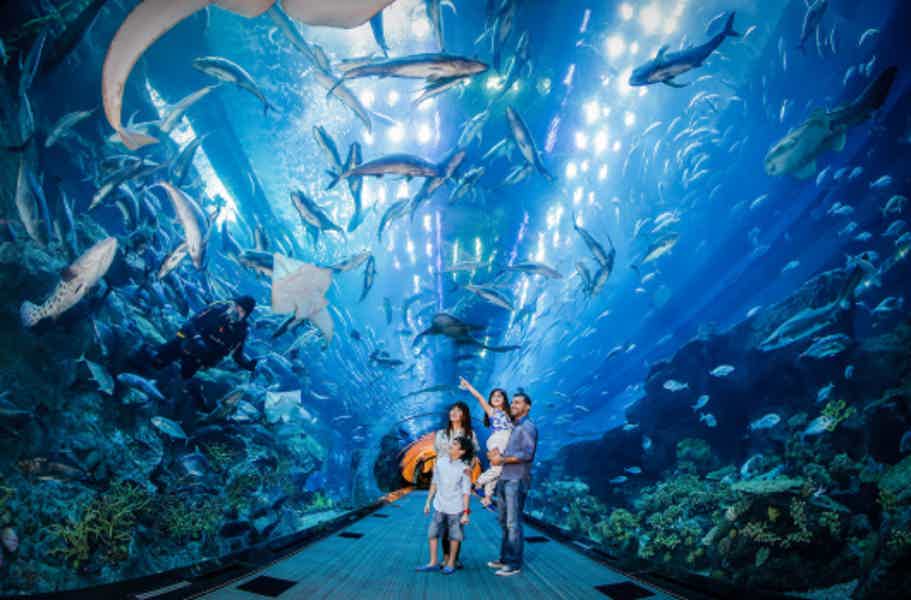 Дубайский аквариум и подводный зоопарк (входной билет) - фото 1