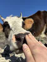 Экскурсия "Молодежный гастрономический джип-тур по Дагестану 4 дня «все включено»" - фото отзыва 4