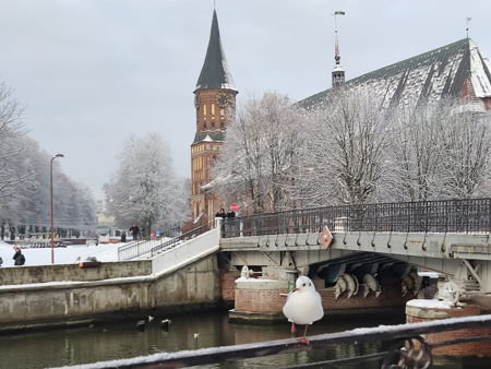 Здание Госпиталя Святого Георга