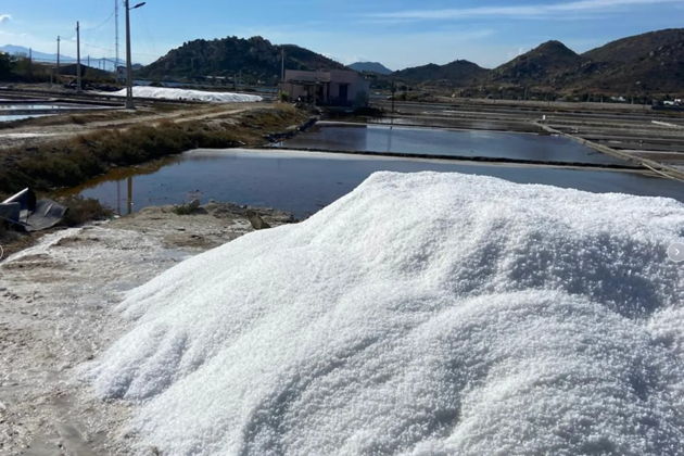 Виды Экскурсия «Fantastic FanRang»